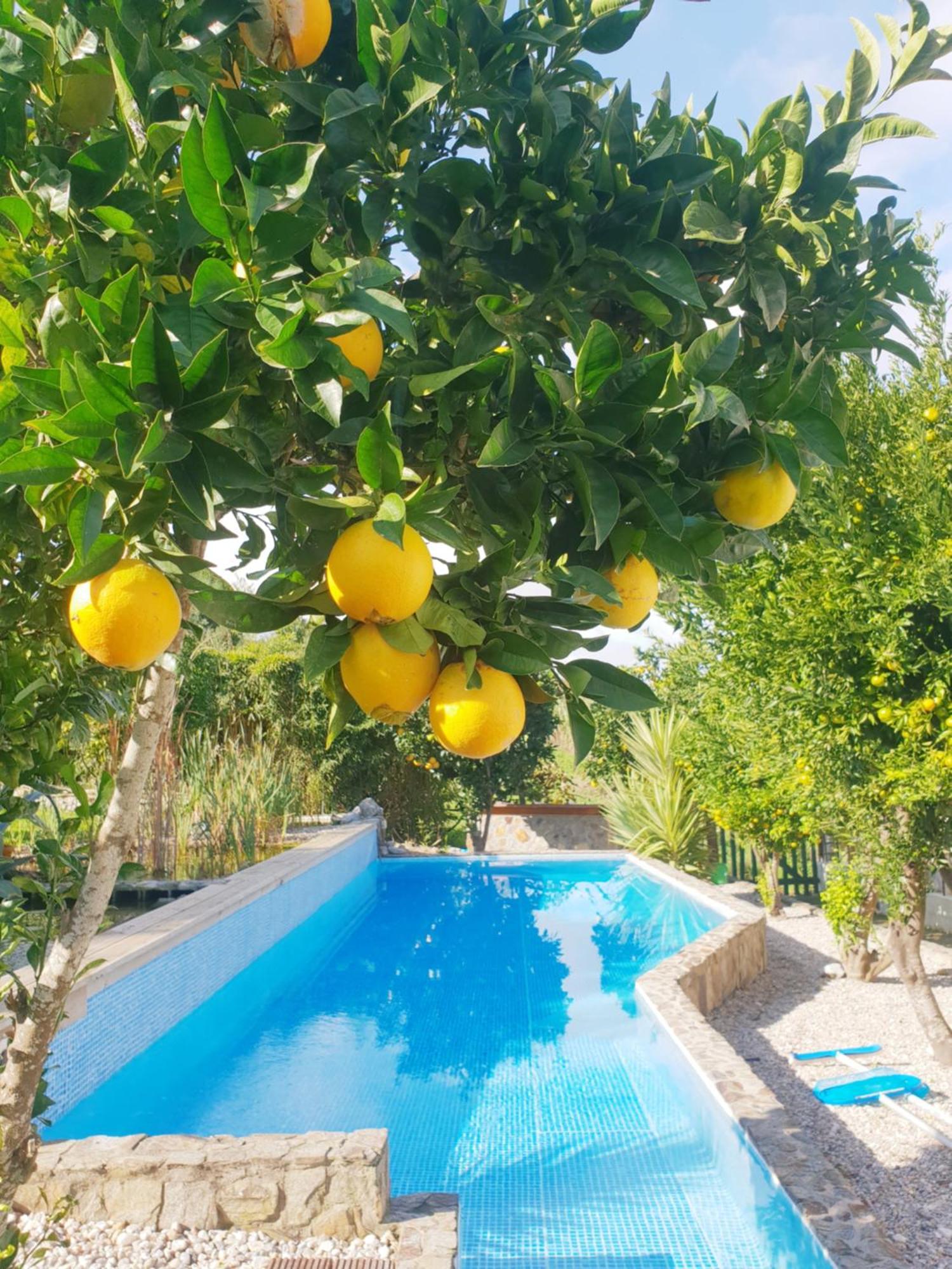 The Far End Surf House - Surf & Yoga Holidays Lourinhã Zewnętrze zdjęcie